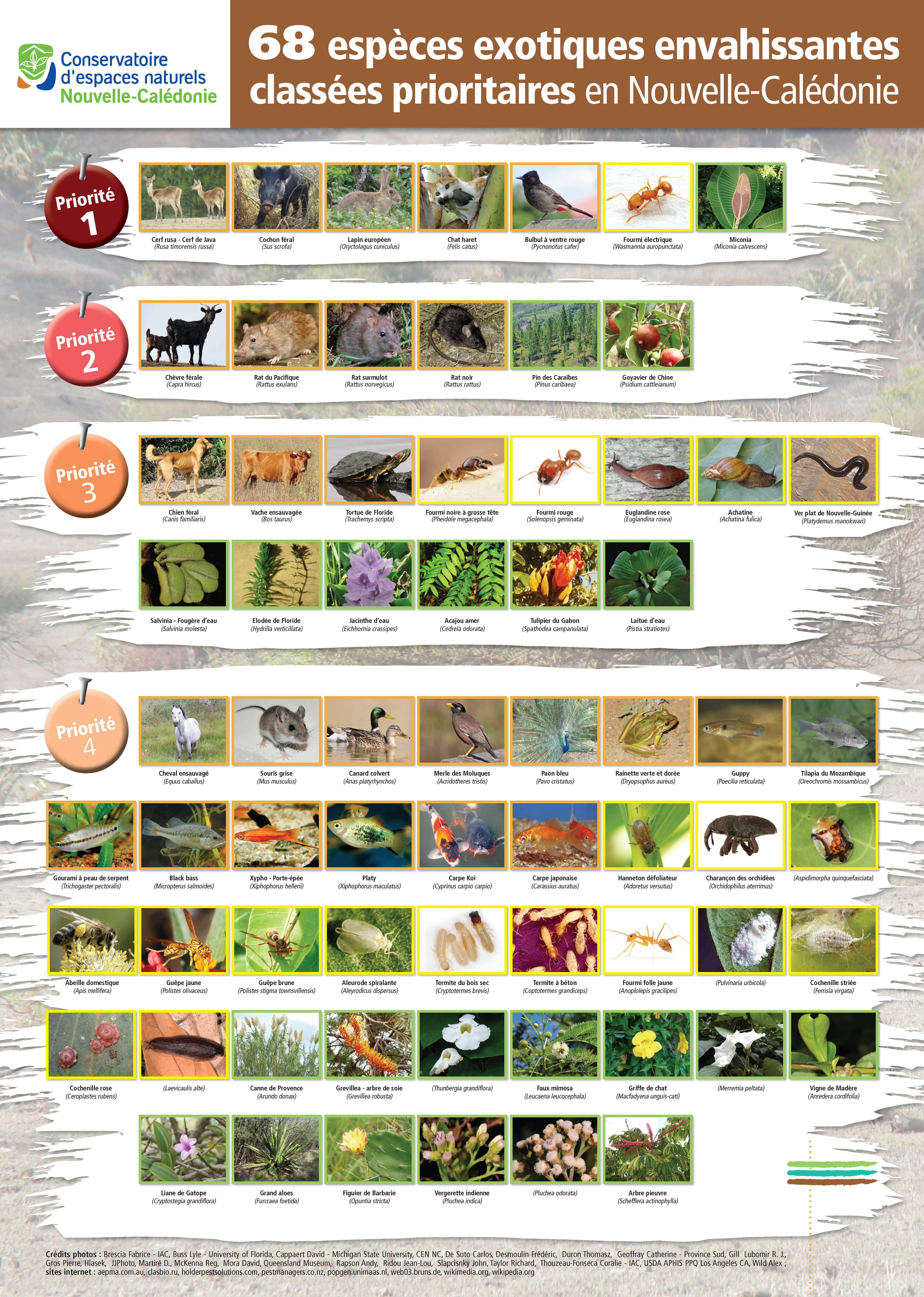 15_affiches des 105 principales EEE.png