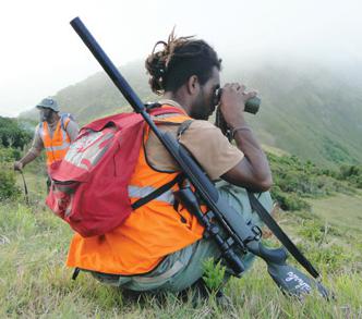 16_photo action chasse.jpg