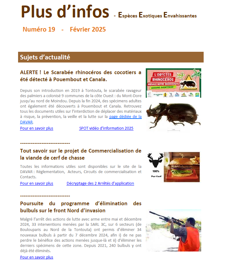 ANCB 2025 Plus d'infos EEE N°19 Fév. 2025