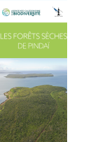 Aperçu dépliant Pindaï