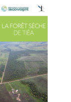 Aperçu dépliant Tiéa