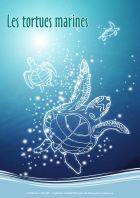 Page garde livret tortues marines