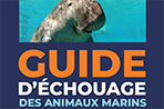 Guide échouage