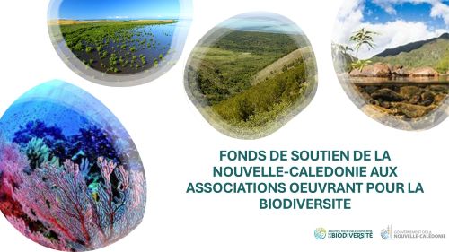 illustration fonds associatifs