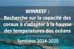 Synthese WINREEF