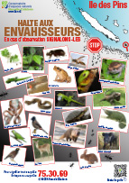 CEN Posters A3 Ile des Pins