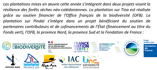 Partenaires et soutiens de l'ANCB pour la résilience des forêts sèches